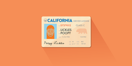 Image of: Why I Changed My Name to Poopy Lickles