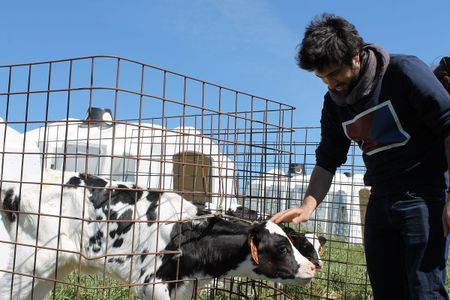 Image of: Chef’s Day Off: Fiorella’s Virtuoso Chef Shows You His Favorite Bay Area Haunts