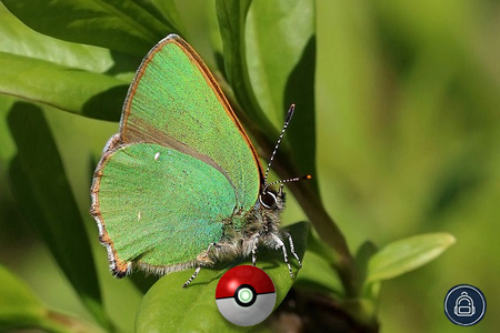 Image of: Introducing The Bold Italic’s New Augmented-Reality Game