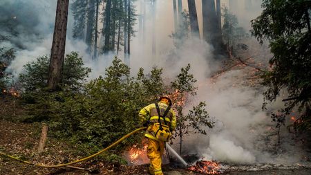 Image of: My Heart Aches for Santa Cruz