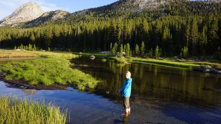 Image of: Watching Your State Go Up in Flames