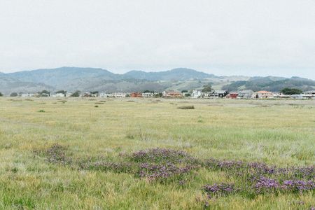 Image of: Ocean Calling: Documenting the Laid-Back Beauty of Half Moon Bay, in Photos