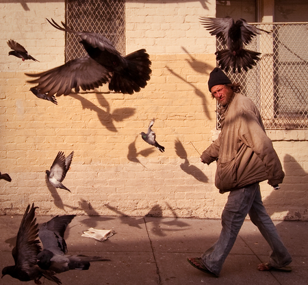 Image of: In defense of the Tenderloin