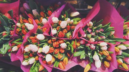 Image of: TBI’s 5 Best: Flower Shops in San Francisco