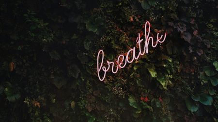 Image of: How to Treat Yourself in San Francisco