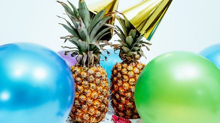 Image of: Bay Area Events to Get Excited About in 2020