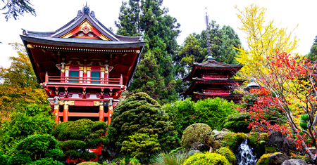 Image of: San Francisco’s Japanese Tea Garden is the oldest public one in the U.S.