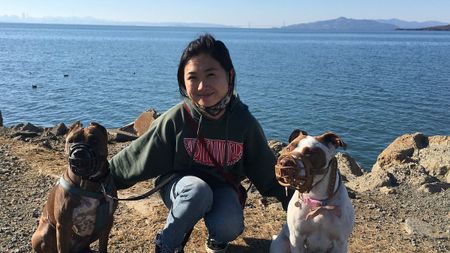 Image of: My Rescue Pit Bull Helped Me Leave a Relationship and Find New Love