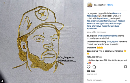 Image of: Ridiculous California Instagram Accounts to Follow If You Need a Little Perspective