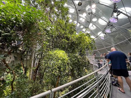 Image of: 5 Awesome Bay Area Kids’ Activities for a Rainy Day