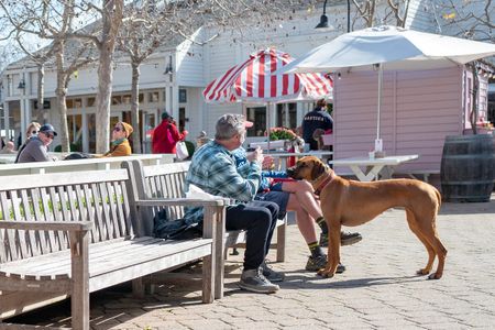Image of: 3 Car-Free San Francisco Day Trips That Save Gas