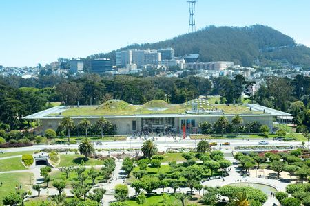 Image of: 3 Amazing Living Roofs in San Francisco to Visit