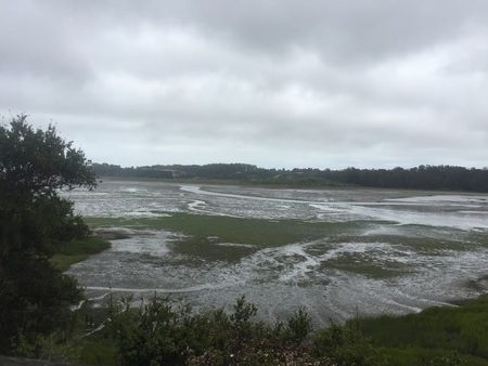 Image of: Six Hidden Bay Area Hikes You Might Not Know