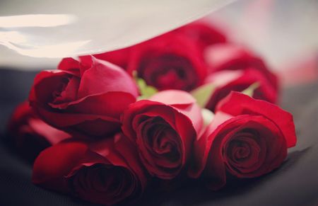 Image of: Lessons Learned from Watching ‘The Bachelor’