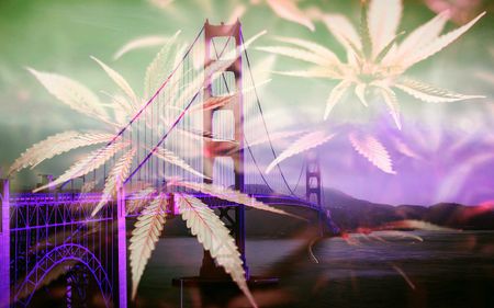 Image of: In San Francisco, Pride and Pot Go Hand-in-Hand