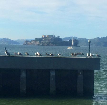 Image of: Untrue Urban Legends of San Francisco