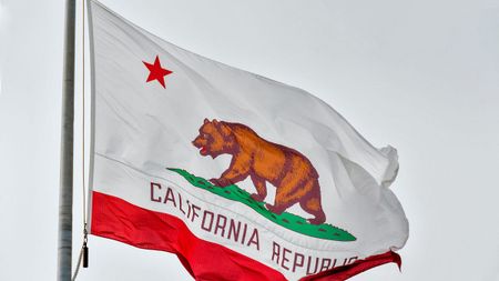 Image of: The Sad Story of the Bear on California’s State Flag