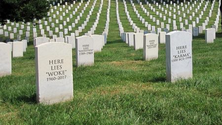 Image of: RIP “Woke”