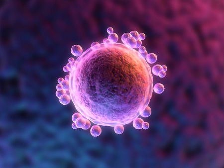 Image of: When It Comes to Fertility, Is More Information Really Best?