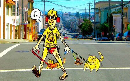 Image of: What Happened When I Tried to Walk My Cat in San Francisco