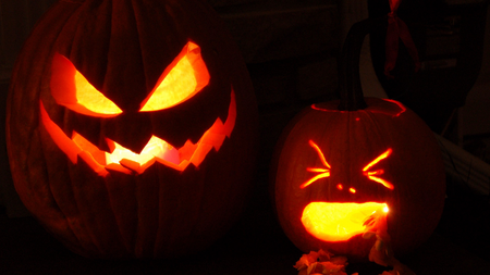 Image of: TBI’s 5 Best: Activities That Make It Seem Like It’s Actually Fall