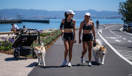 Image of: Why I love Mission Bay