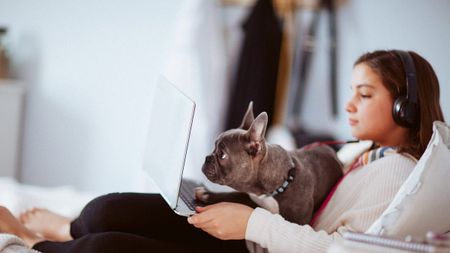 Image of: The Quest for Connection in a High School Zoom Class