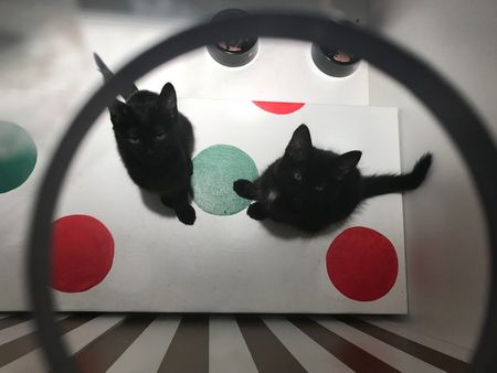 Image of: Why Macy’s Windows Are Still Our Favorite SF Holiday Tradition