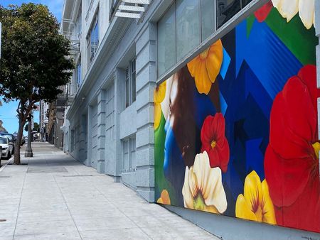 Image of: Peace on the Flanks of San Francisco’s Streets