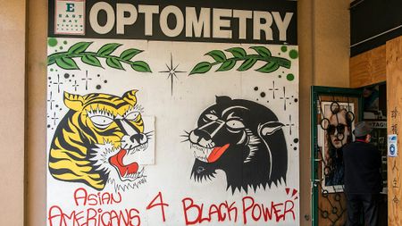 Image of: Avoiding the ‘Asian vs. Black’ Trap