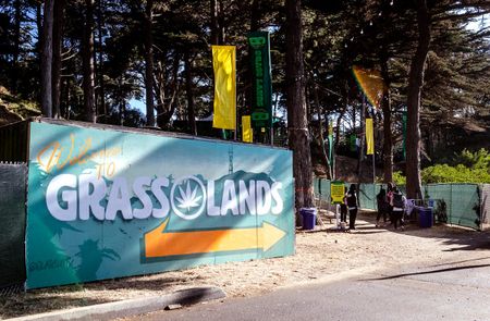 Image of: The Real Star of Outside Lands 2019: Grass Lands