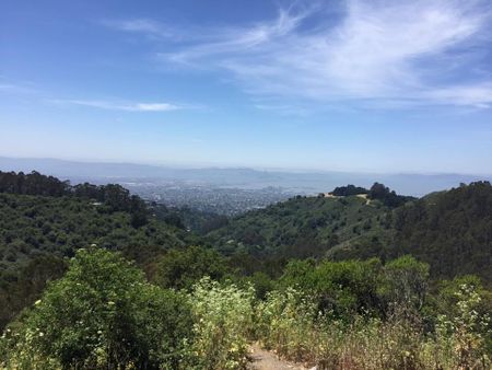 Image of: Eighteen Unique Places to Go in the Bay Area in 2018