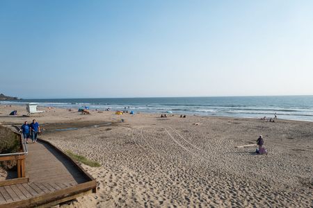 Image of: 4 Bay Area Beaches to Visit on National Beach Day