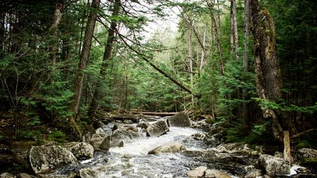 Image of: The Best Hidden Waterways in San Francisco