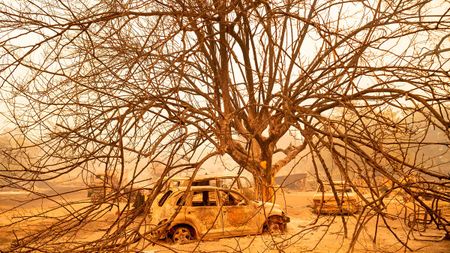 Image of: California Wildfires — Where to Get the Live Updates