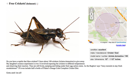 Image of: The Weirdest Things for Sale on Craigslist in the Bay Area This Week
