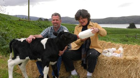 Image of: How to Start a Culture: Meet the Matriarchs behind Cowgirl Creamery