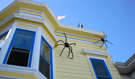 Image of: How to Halloween in San Francisco 2024