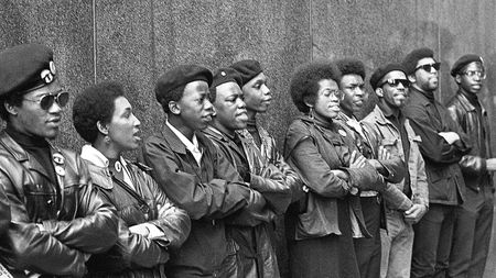 Image of: 5 Essential Bay Area Social Justice Films to Watch Now