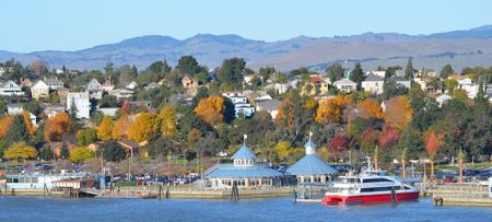 Image of: In Defense of Vallejo