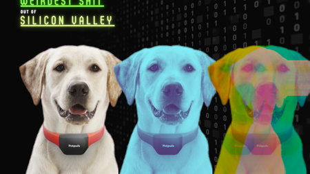 Image of: This Start-Up Charges $100 To Tell You If Your Dog is Happy or Sad