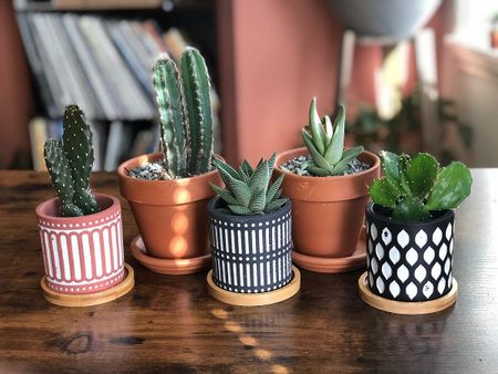 Image of: Unique Mother's Day Gift Ideas for Bay Area Moms