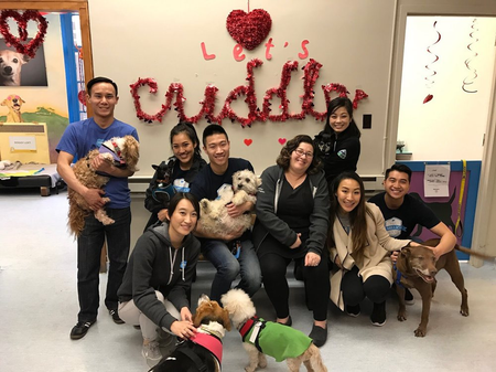 Image of: Tell Us What You Love, and We’ll Tell You Where to Volunteer