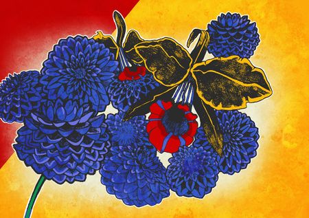 Image of: Growing Up Latina (But Not Mexican) in SF