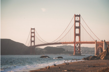 Image of: Weekly News Roundup: The SF Struggle Edition