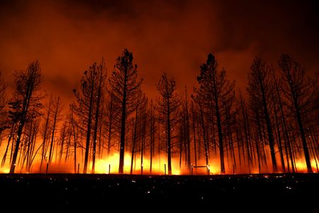 Image of: I Lost My Friend in a Firestorm. Then a Massive Forest Fire Almost Burned Down My Brother’s House.