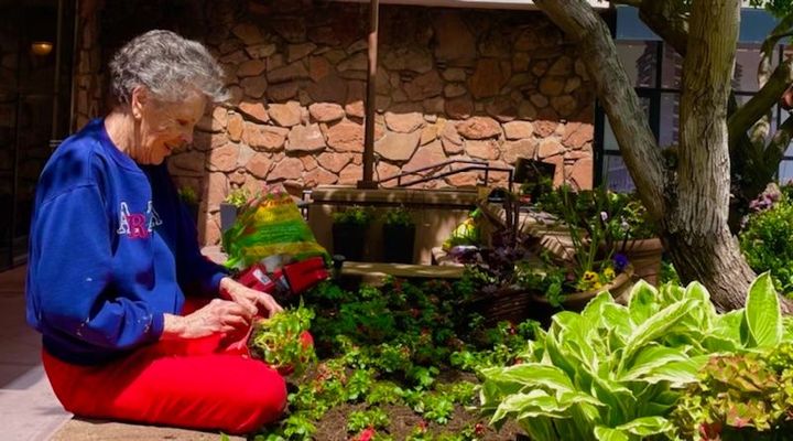 Bring the May Flowers