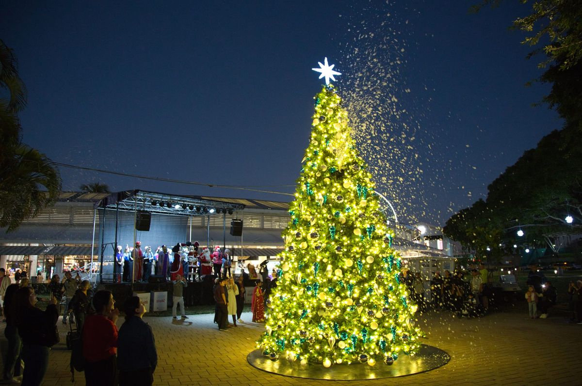 Thanksgiving? November 2024