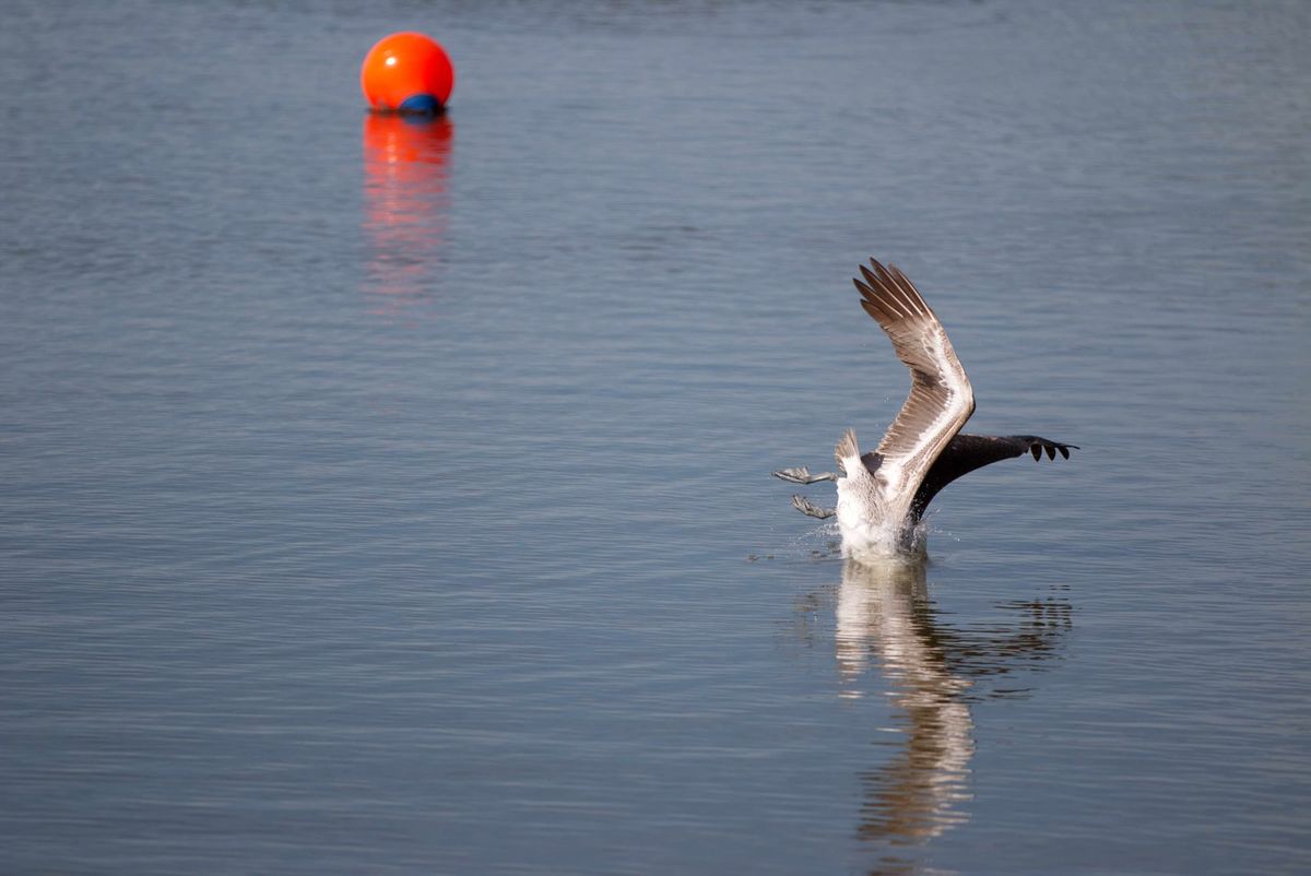 Time to dive into South Florida's week that ended December 12, 2025 (late--sorry)