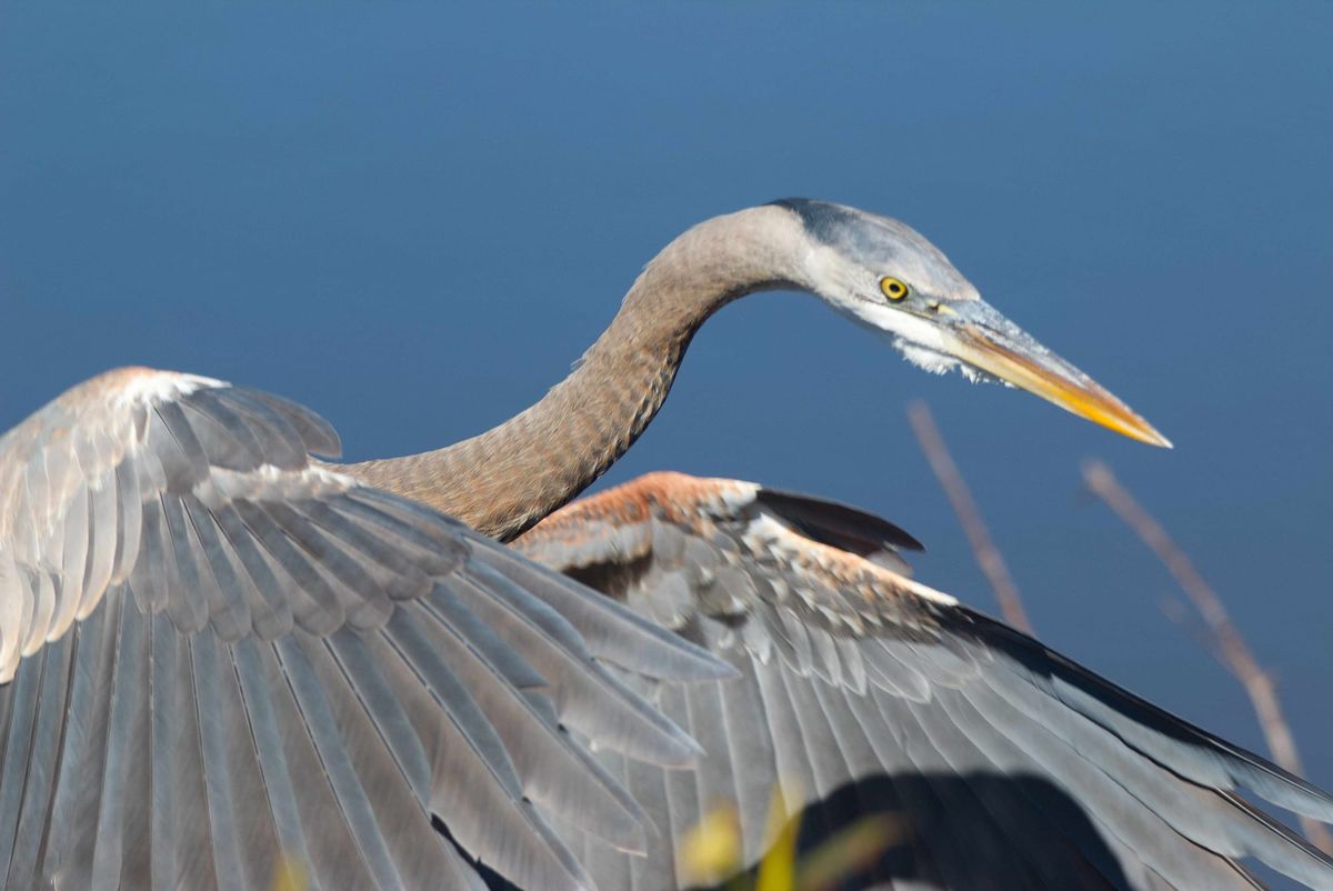 Week ending February 27, 2026